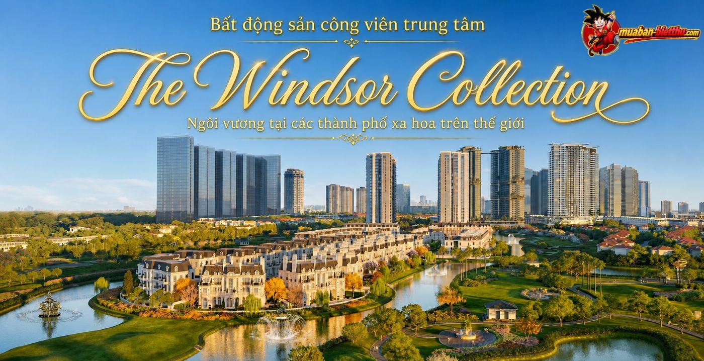 windsor